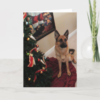 Belo cartão de Natal de German shepherd