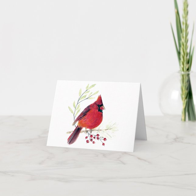 Belo Cartão de Nota Cardinal Vermelho (Beautiful Red Cardinal Watercolor Colored Pencil Blank Note Cards from Jenn Steffen Art)