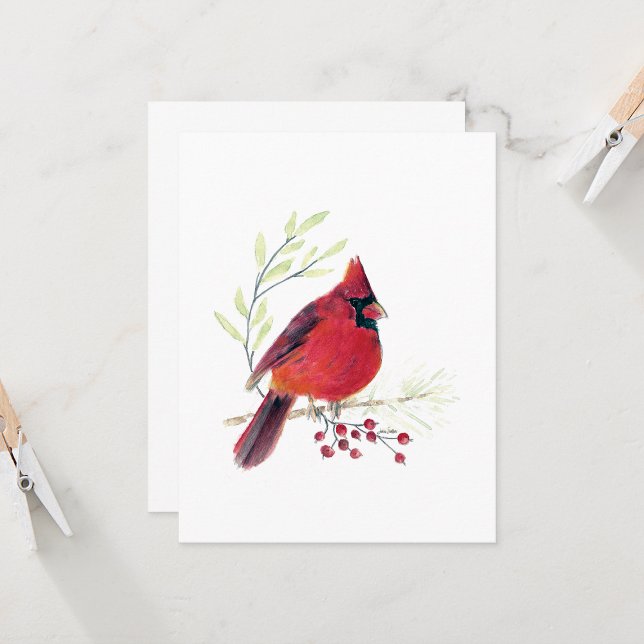 Belo Cartão de Nota Cardinal Vermelho (Beautiful Red Cardinal Watercolor Colored Pencil Blank Note Cards from Jenn Steffen Art)