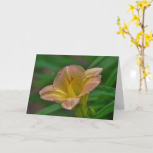 Belo Cartão de Nota de Arte Laranja Dourado Lily