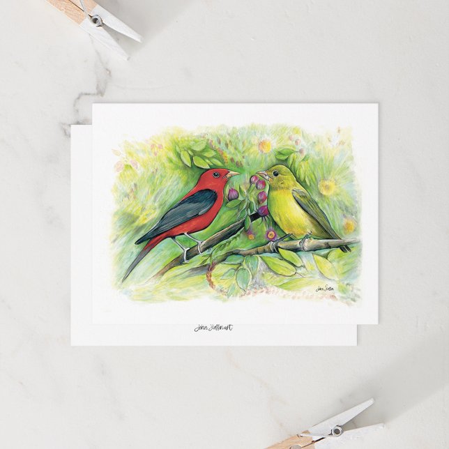 Belo cartão de nota de Casal do Scarlet Tanager (Beautiful Scarlet Tanager Watercolor Blank Note Cards from Jenn Steffen Art)