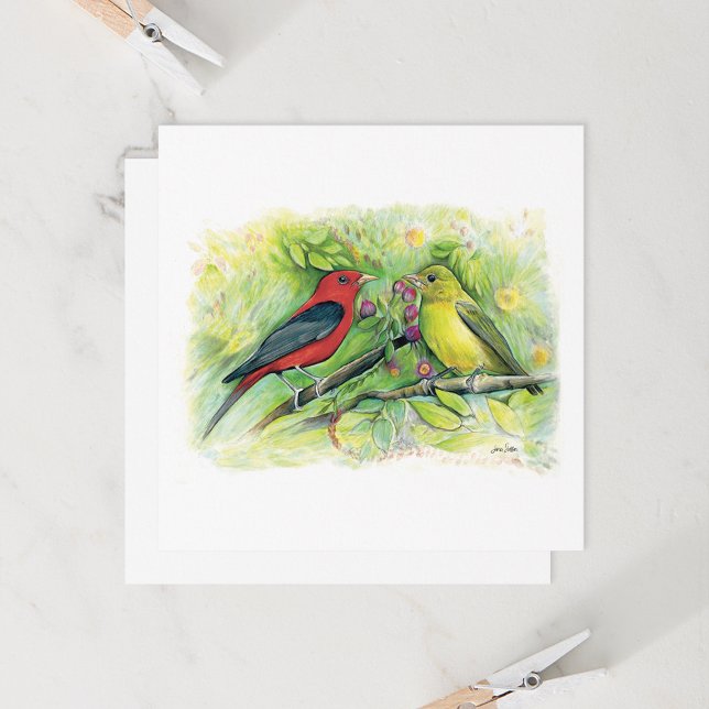 Belo cartão de nota de Casal do Scarlet Tanager (Beautiful Scarlet Tanager Couple Watercolor Blank Note Cards from Jenn Steffen Art)