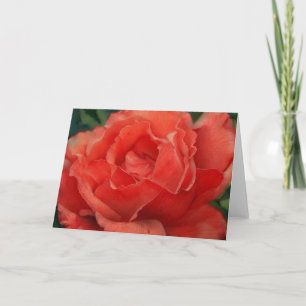 Belo Cartão de Nota de Rosa de Coral Vermelho