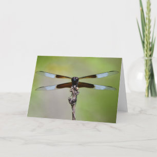 Belo Cartão de Nota Dragonfly