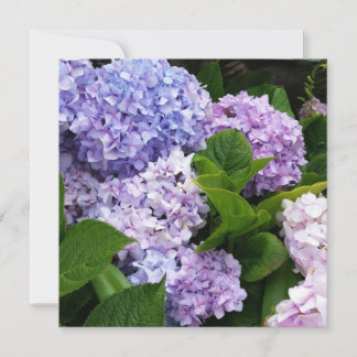 Belo Cartão de Nota Hydrangeas