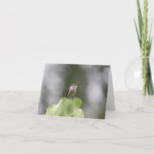 Belo cartão de saudação de beija-flor