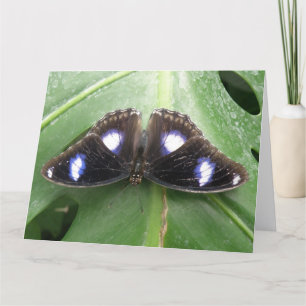 Belo Cartão de Saudação de Borboleta Azul