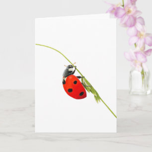 Belo Cartão de Saudação de Desenho de Ladybug Dobr
