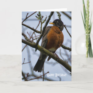 Belo Cartão de Saudação Robin Birthday American