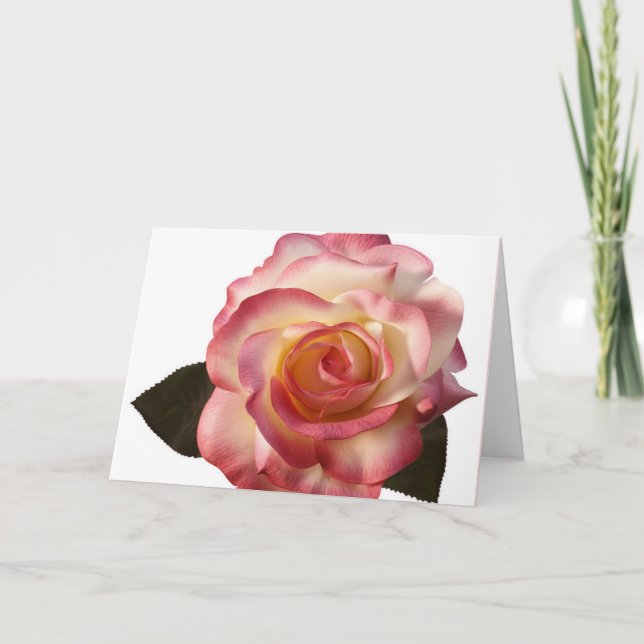Belo cartão de saudação Rosa. (Frente)