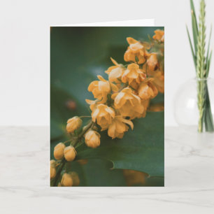 Belo cartão de vazio para fotografia de flores