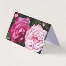 Belo Cartão Rosa Rosa de Amor