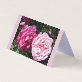 Belo Cartão Rosa Rosa de Amor