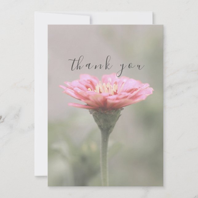Belo Cartões de agradecimentos plano da Flor Rosa- (Frente)