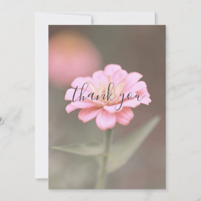 Belo Cartões de agradecimentos plano da Flor Rosa- (Frente)