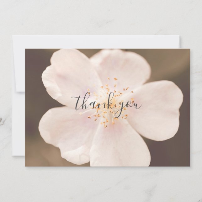 Belo Cartões de agradecimentos plano Rosa, rosa, r (Frente)