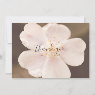 Belo Cartões de agradecimentos plano Rosa, rosa, r