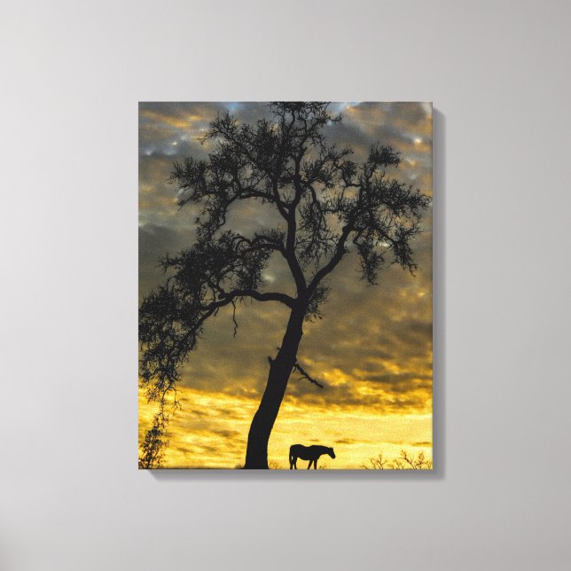 Belo Cavalo de Canvas e Árvore de Carvalho com Rai (Frente)