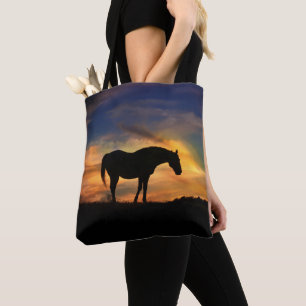 Belo Cavalo e Bolsa do Sol