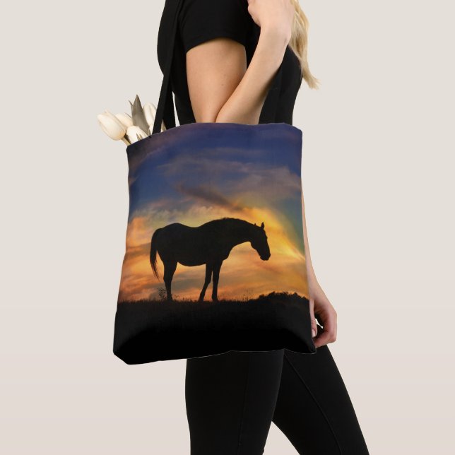 Belo Cavalo e Bolsa do Sol (Close Up)