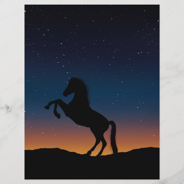 BELO CAVALO STALLION (Frente)