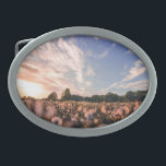 belo céu sobre o plano<br><div class="desc">belo céu sobre o plano</div>