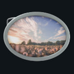 belo céu sobre o plano<br><div class="desc">belo céu sobre o plano</div>