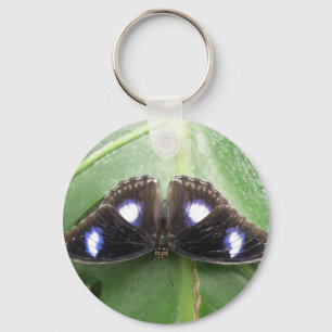Belo Chaveiro de borboleta azul