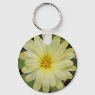 Belo Chaveiro Marigold
