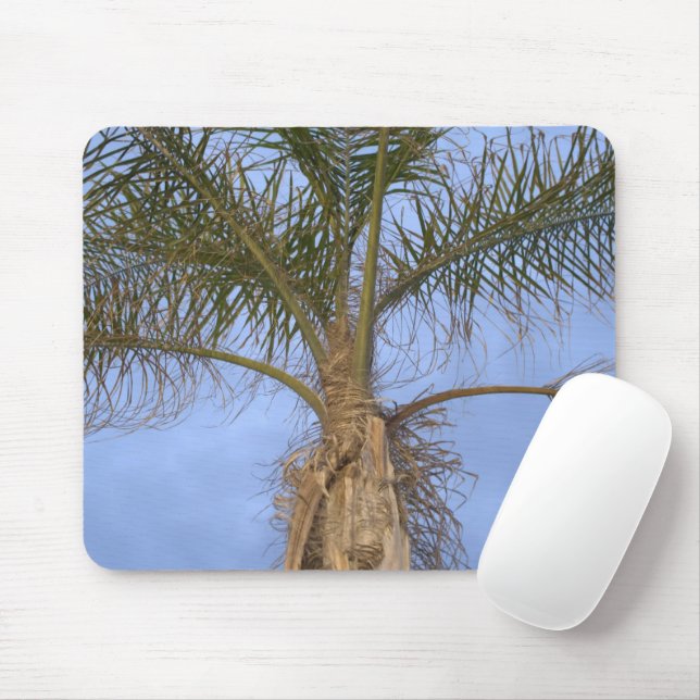 Belo close de Palm Tree Mousepad (Com mouse)