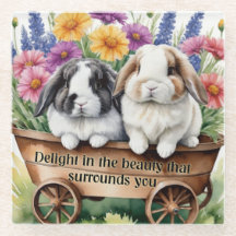 Belo Coelho Lop Bonito