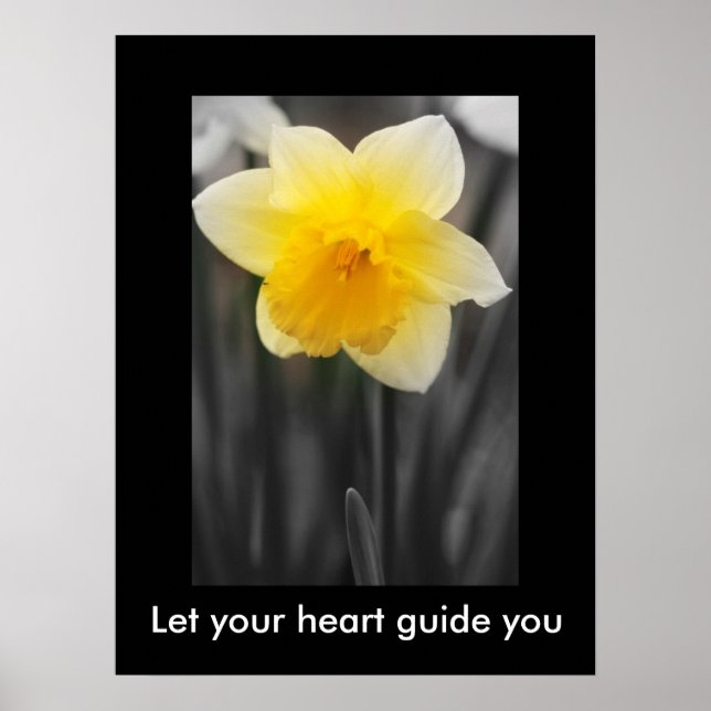 Belo daffodil, Papel Poster de Valor (Matte) (Frente)