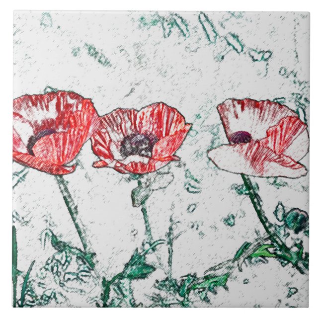 Belo Desenho das Flores Vermelhas Três Pópias (Frente)