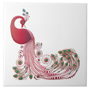 Belo Design de Peacock