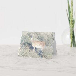 Belo Fawn - Cartão de Saudação de Vazio