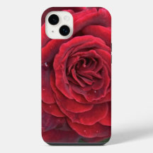 Belo iphone de rosa vermelha 14+ mal lá