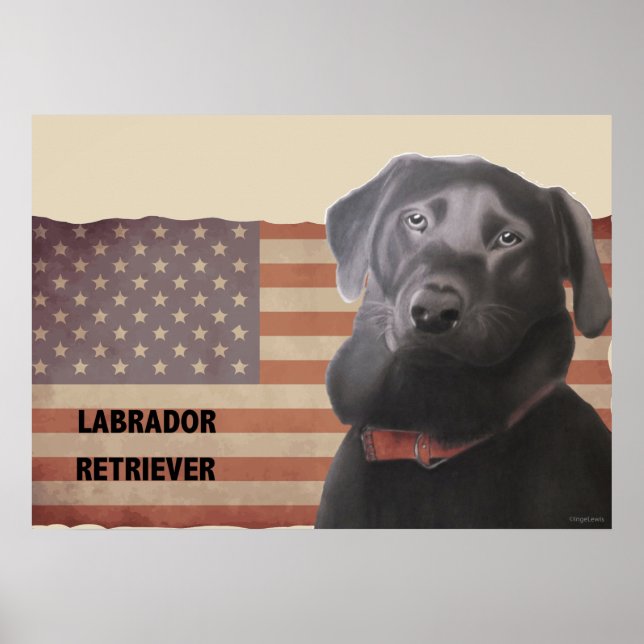 Belo Labrador Retriever American Flag Poster (Frente)