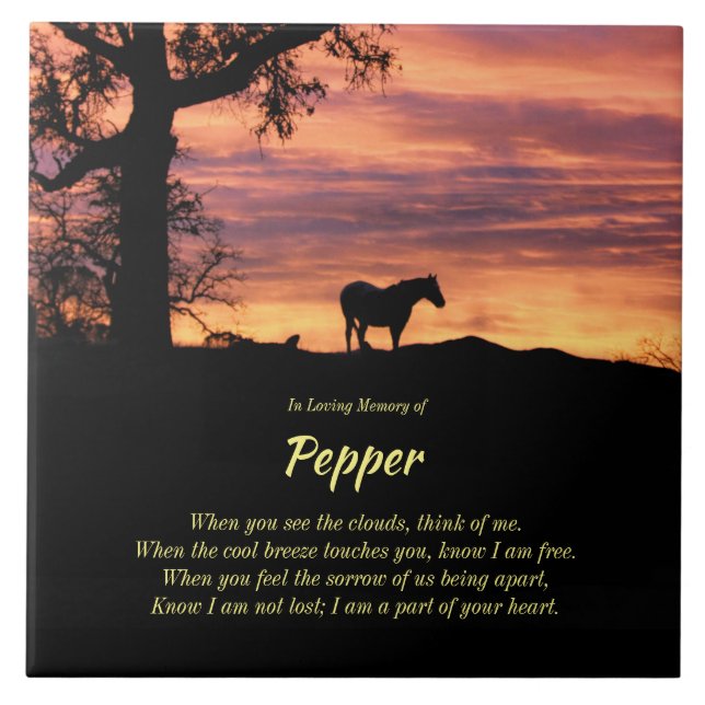 Belo Memorial do Cavalo com Poema Espiritual Ceram (Frente)