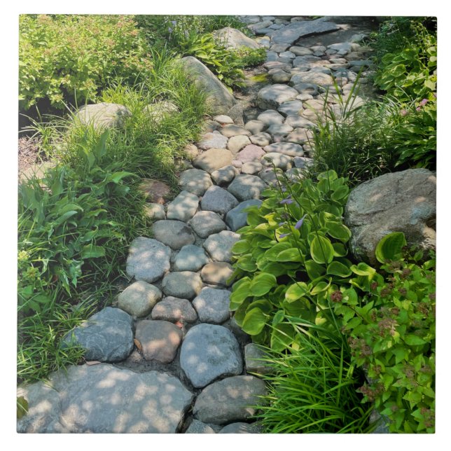 Belo modelo de foto de árvores iluminadas pelo sol (Frente)