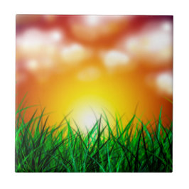 Belo nascer do sol sobre um campo de grama