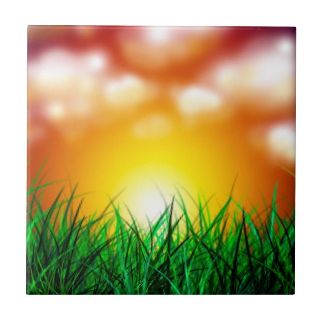 Belo nascer do sol sobre um campo de grama (Frente)