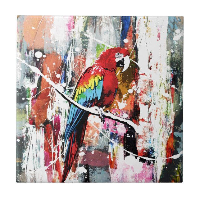 Belo papagaio (Frente)