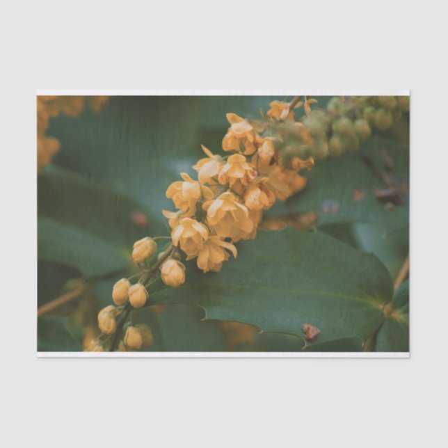 Belo papel floral de flores para presentes (Frente )