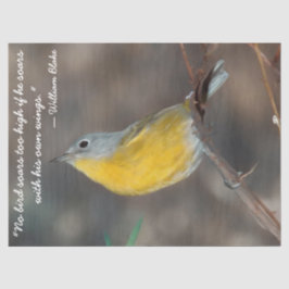 Belo Papel Tecido de Pássaro