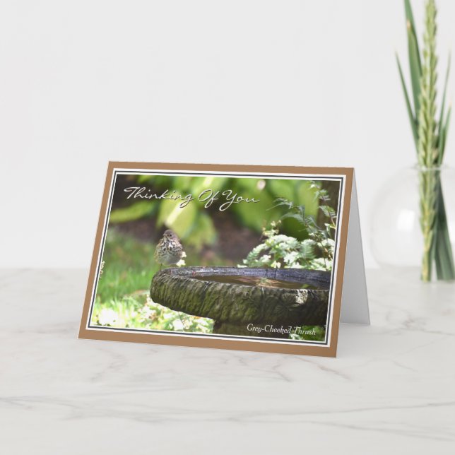 Belo Pássaro Pensando em você Cartão Saudável (Frente)