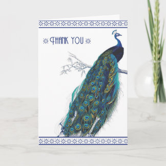 Belo Pavão Azul Vintage - Cartões de agradecimento