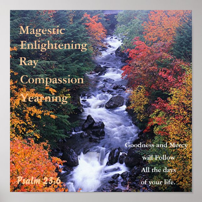 Belo Poster da Natureza. (Frente)