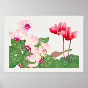 Belo Poster de Ilustração Botânica Vintage