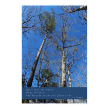 Belo Poster de outono