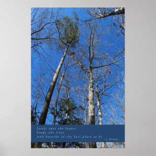 Belo Poster de outono